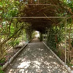Willa Odyssey's Palace - Escape In Mythical Ithaca Platrithias
